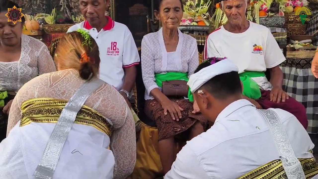 #mebayuh oton#balinese#ceremony#otonanbali#fyp#