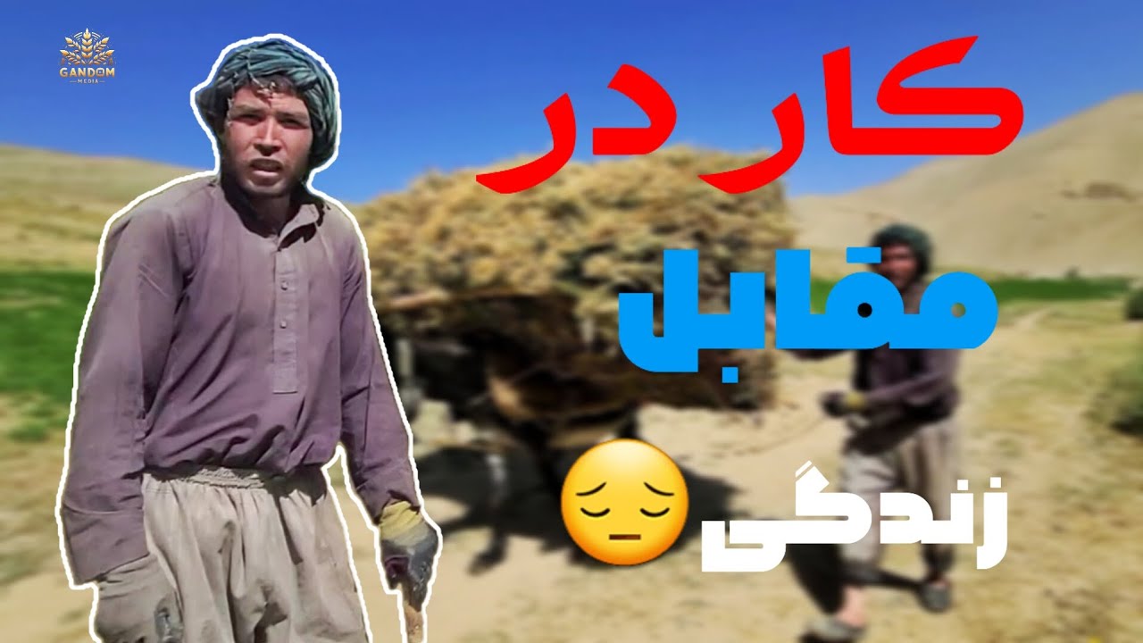 باور نکردنی! مردی که تمام سال همه وقت کار می‌کند تا او و فاملش زنده بماند😔🥺