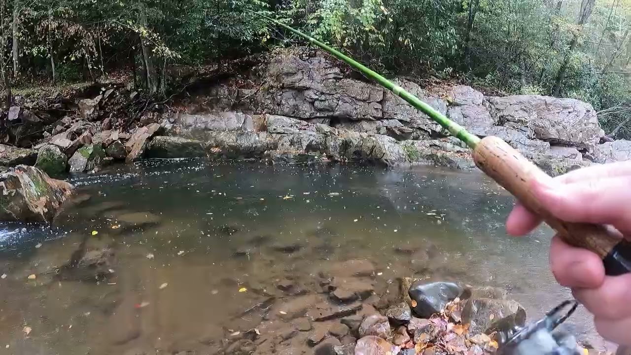 Hunting in trout!