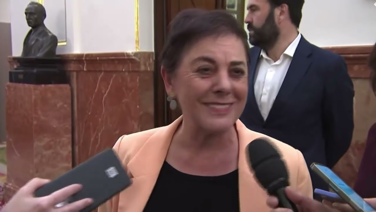 Declaraciones de MERTXE AIZPURUA en el Congreso