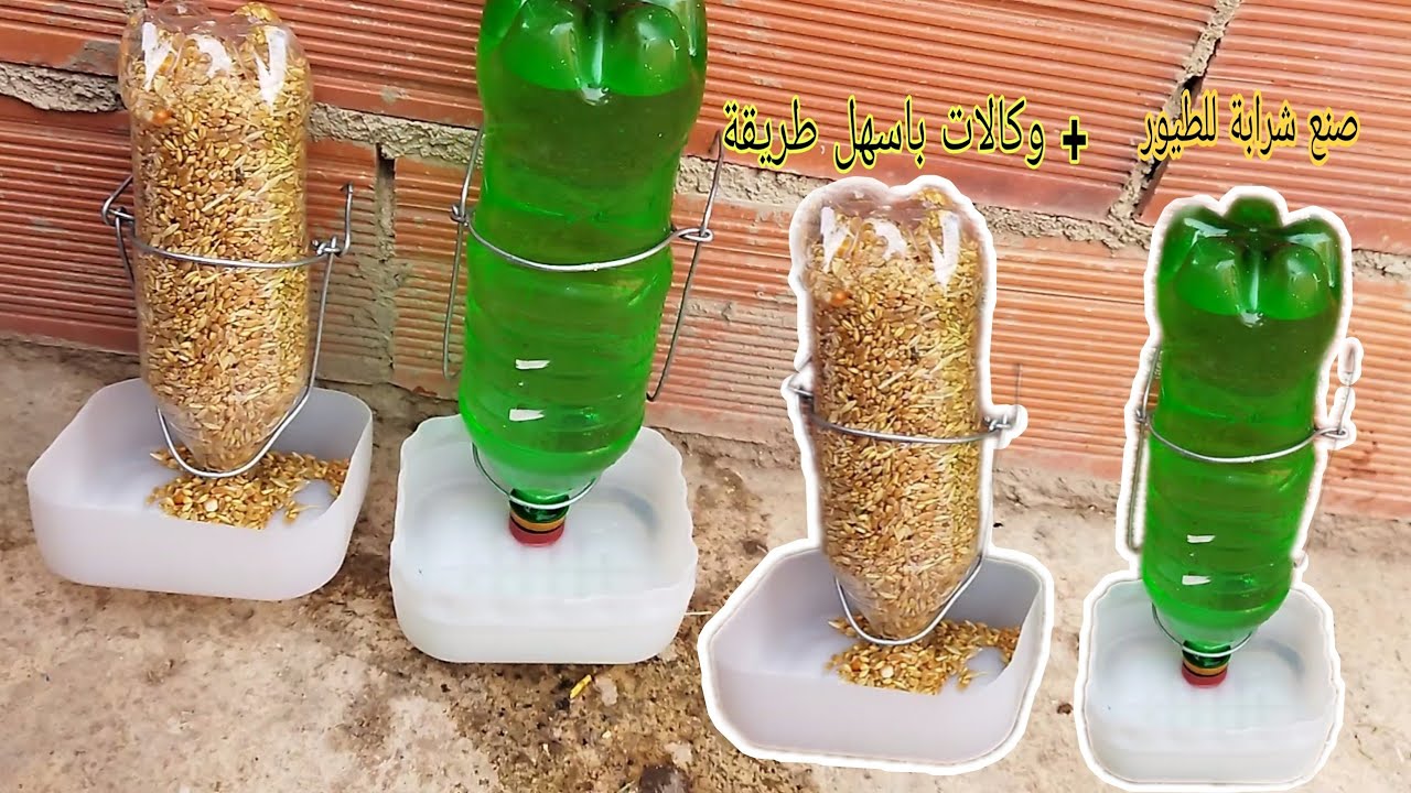 صنع شرابة  لطيور + وكالات باسهل طريقة