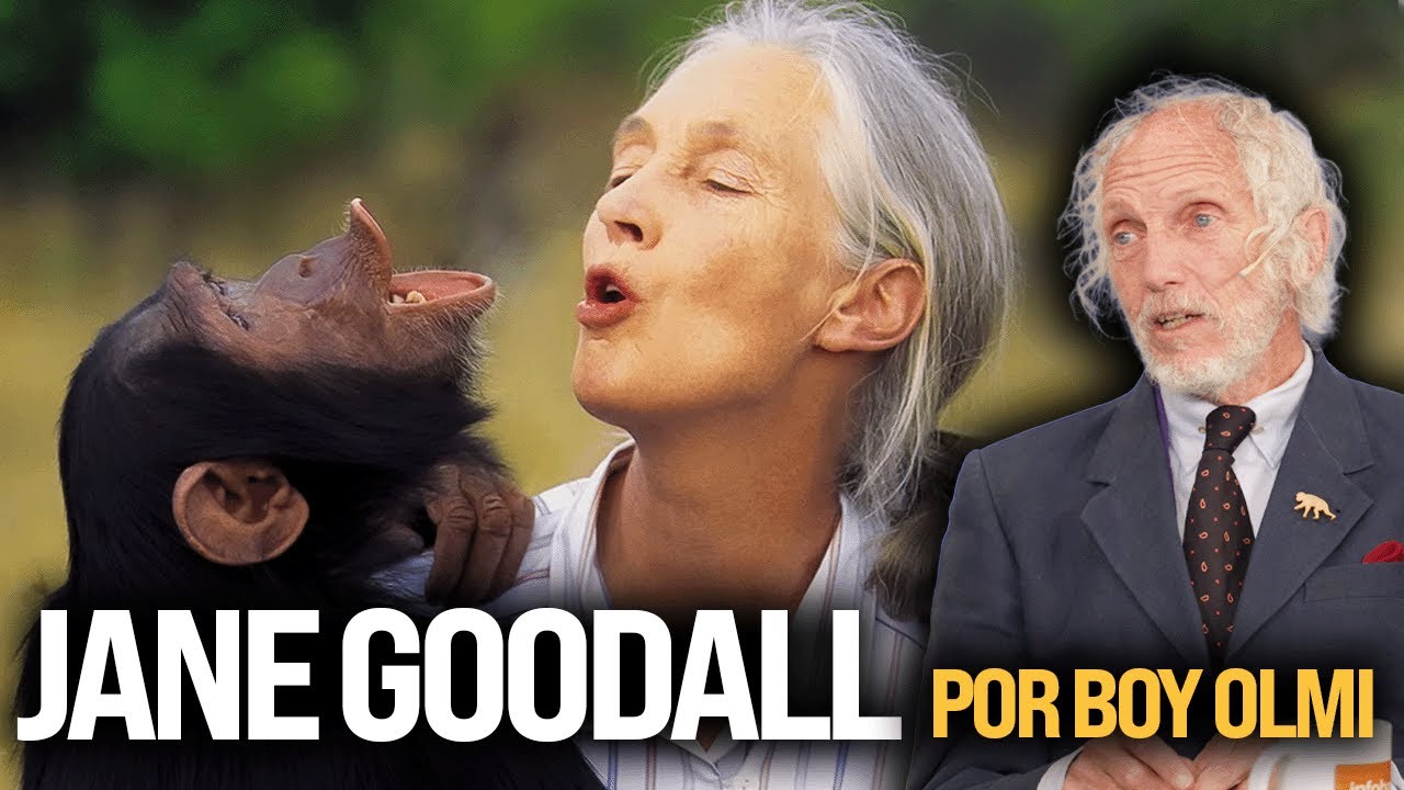 Boy Olmi recuerda a Jane Goodall: legado, ciencia y humanidad