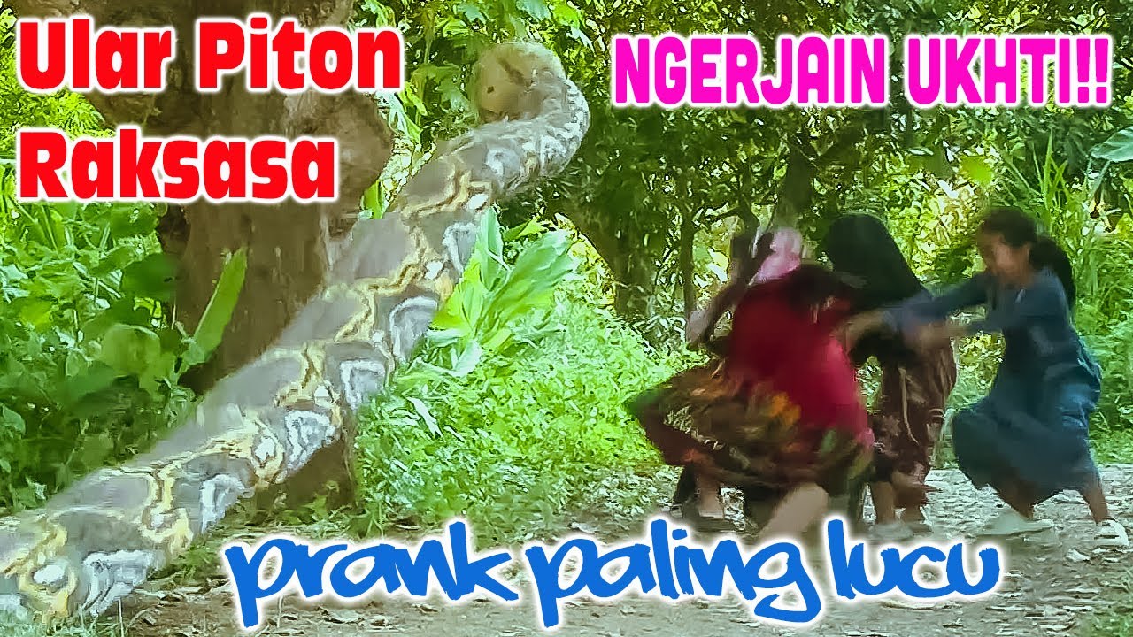 PRANK ULAR PITON RAKSASA PALING LUCU || NGERJAIN UKHTI