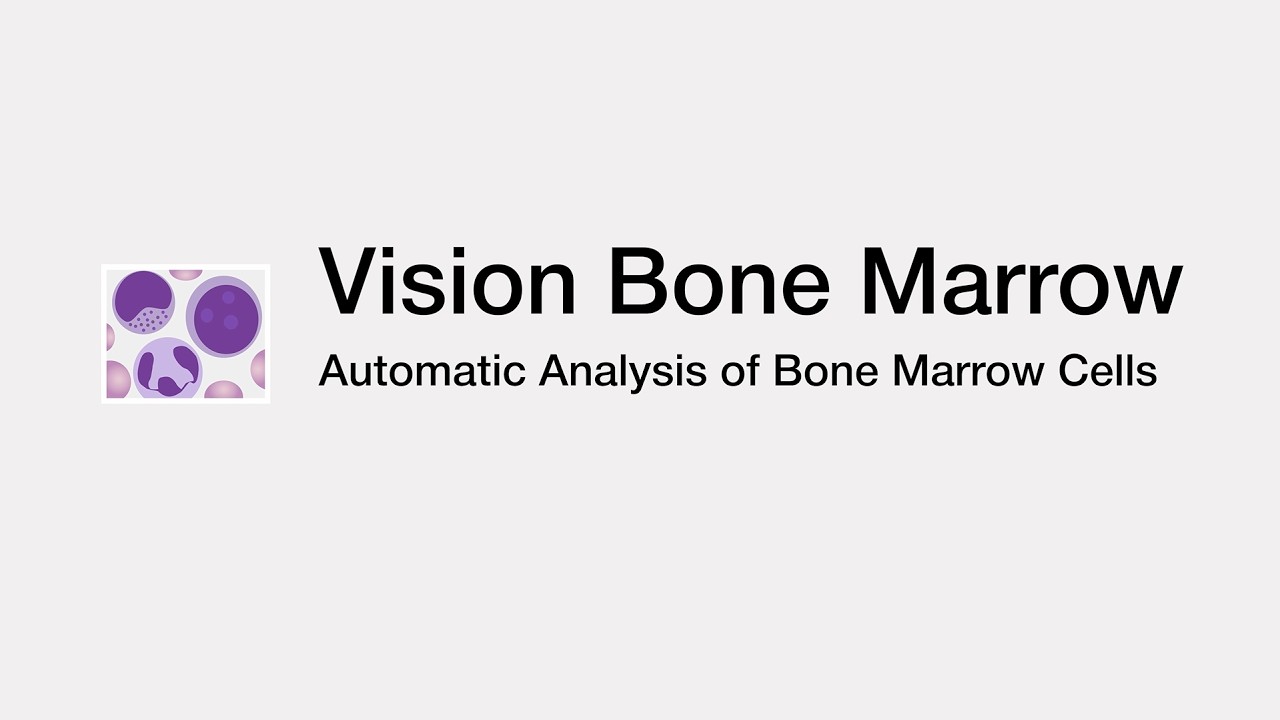 Vision Bone Marrow