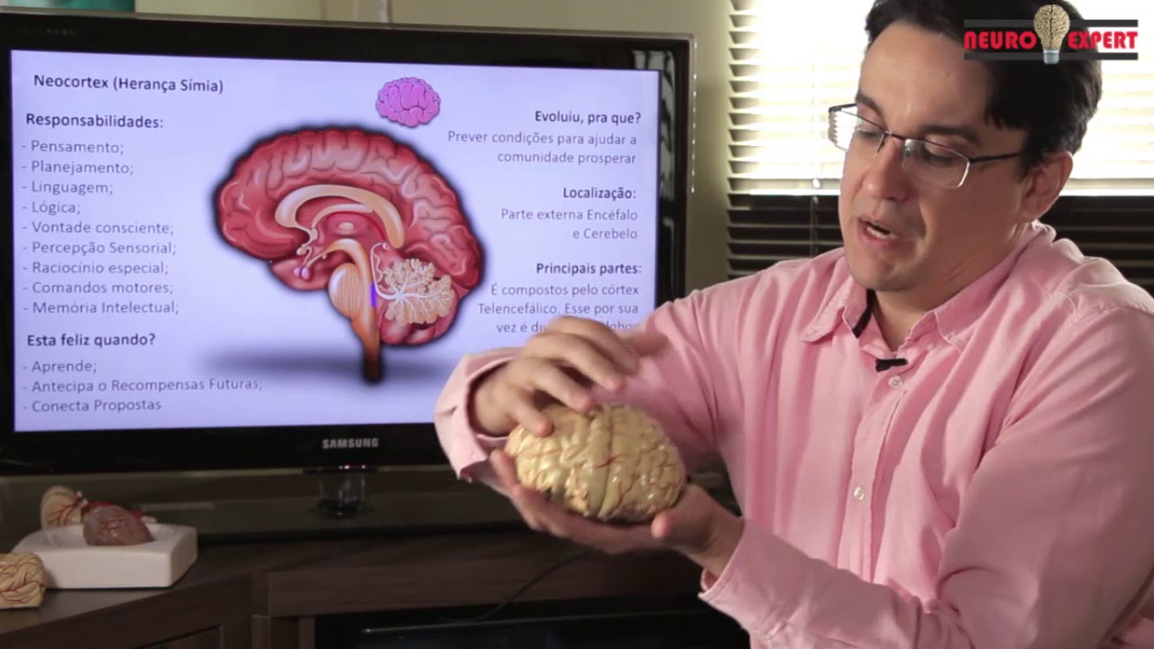 Neuro Dica - NeoCórtex