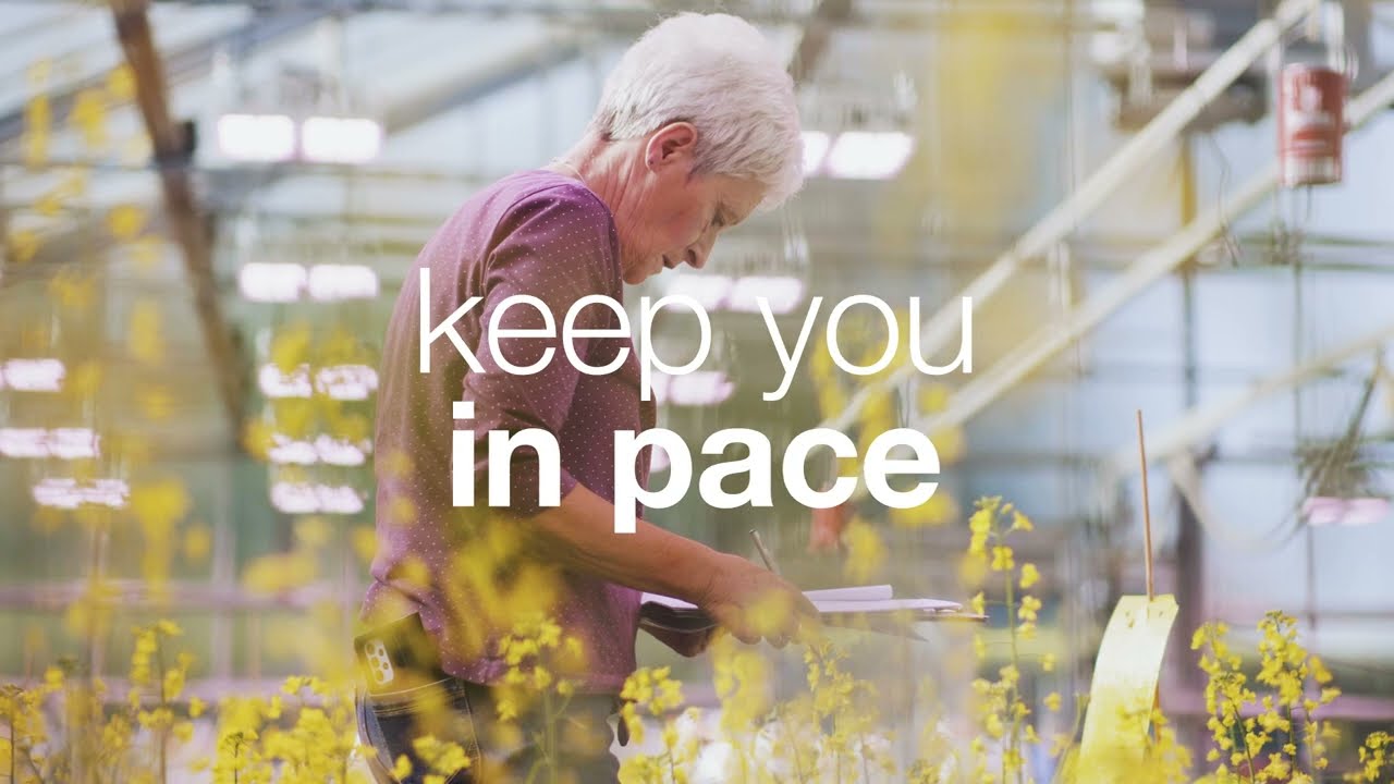 KWS #OneStepAhead - with KWS oilseed rape seeds & solutions
