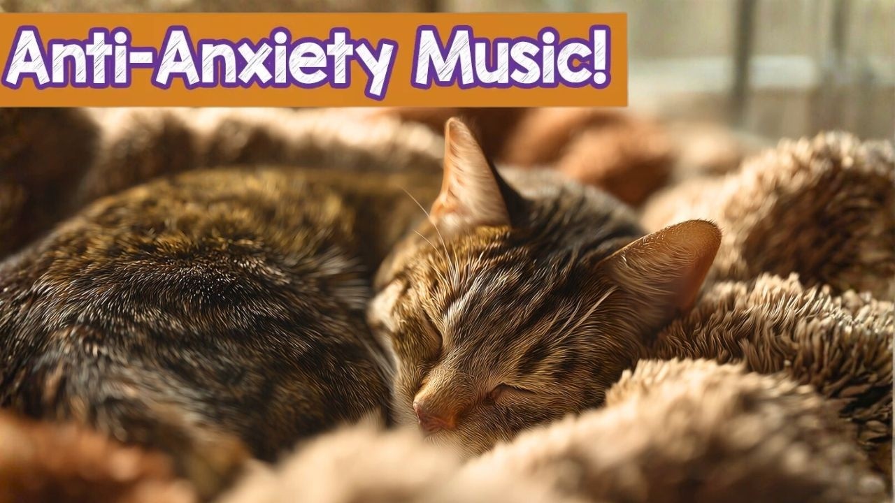Turn This On for Your Cat 🐾 Gentle Music to Reduce Stress & Anxiety