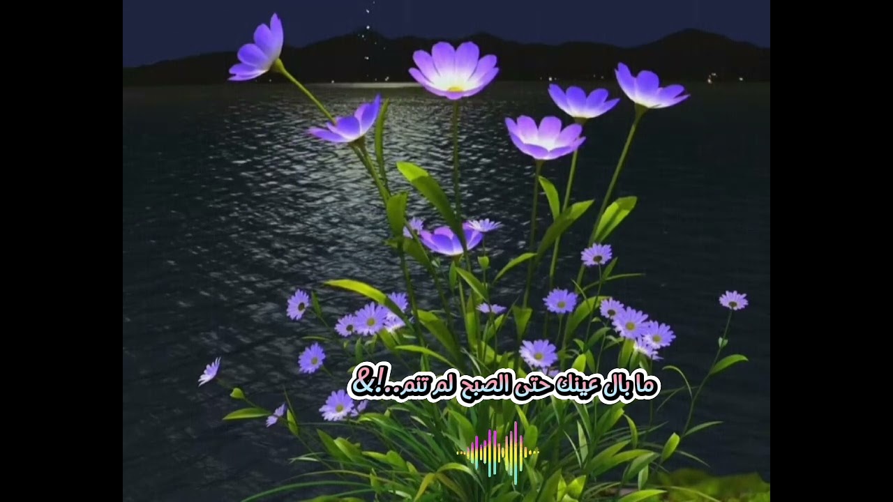 ما بال عينك حتى الصبح لم تنم..!؟ ❤️‍🩹