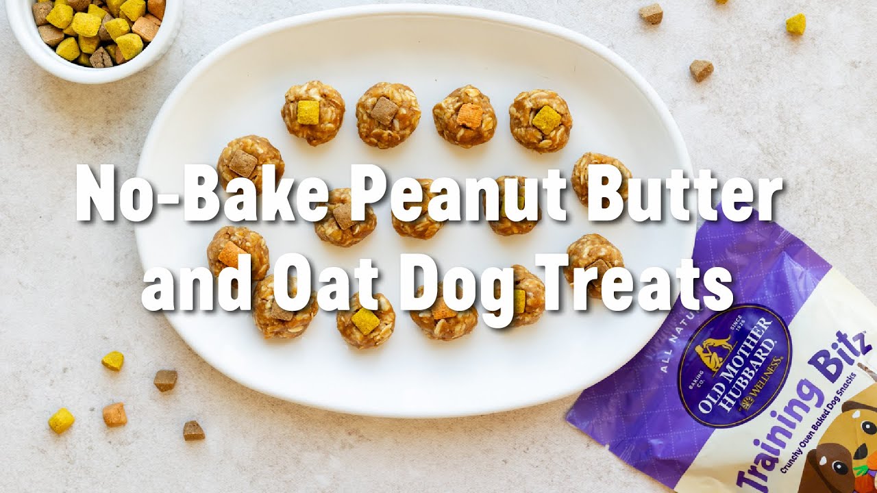 No-Bake Peanut Butter and Oat Dog Treats 😍 | Wellness Pet