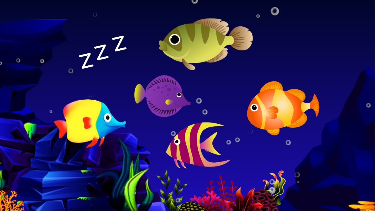 Gentle Lullaby🌛for Babies to go to Sleep 💤 Mozart Brahms🧸lullaby with Bedtime Music🎶#423
