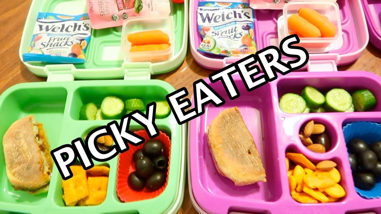 KIDS SCHOOL LUNCH IDEAS  FOR MY PICKY EATERS  K-7  (I sent ice cream)