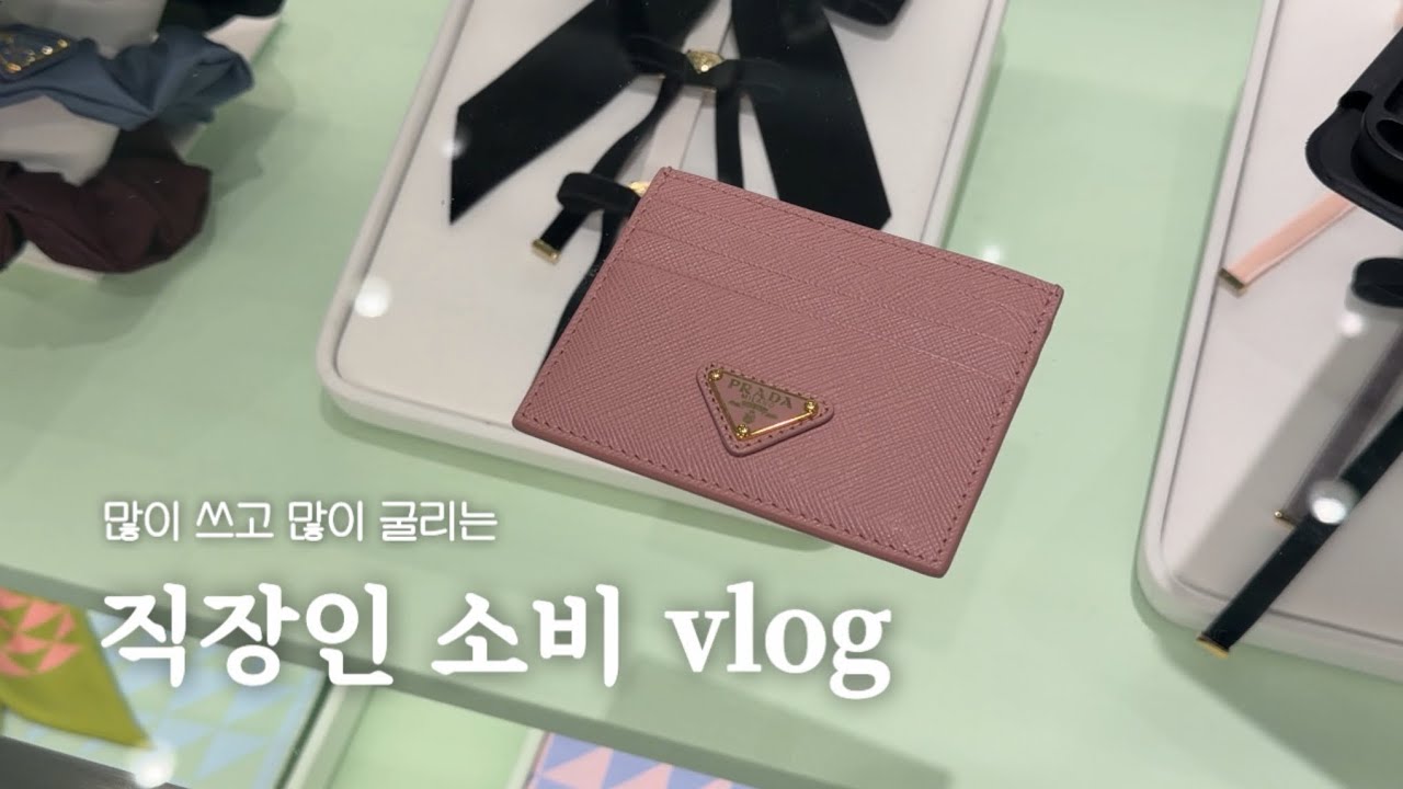 vlog. 직장인 일상 브이로그 | 많이 쓰고 많이 굴리는 대기업 직장인의 소비 기록 | 20대 직장인의 월급 탕진 주간