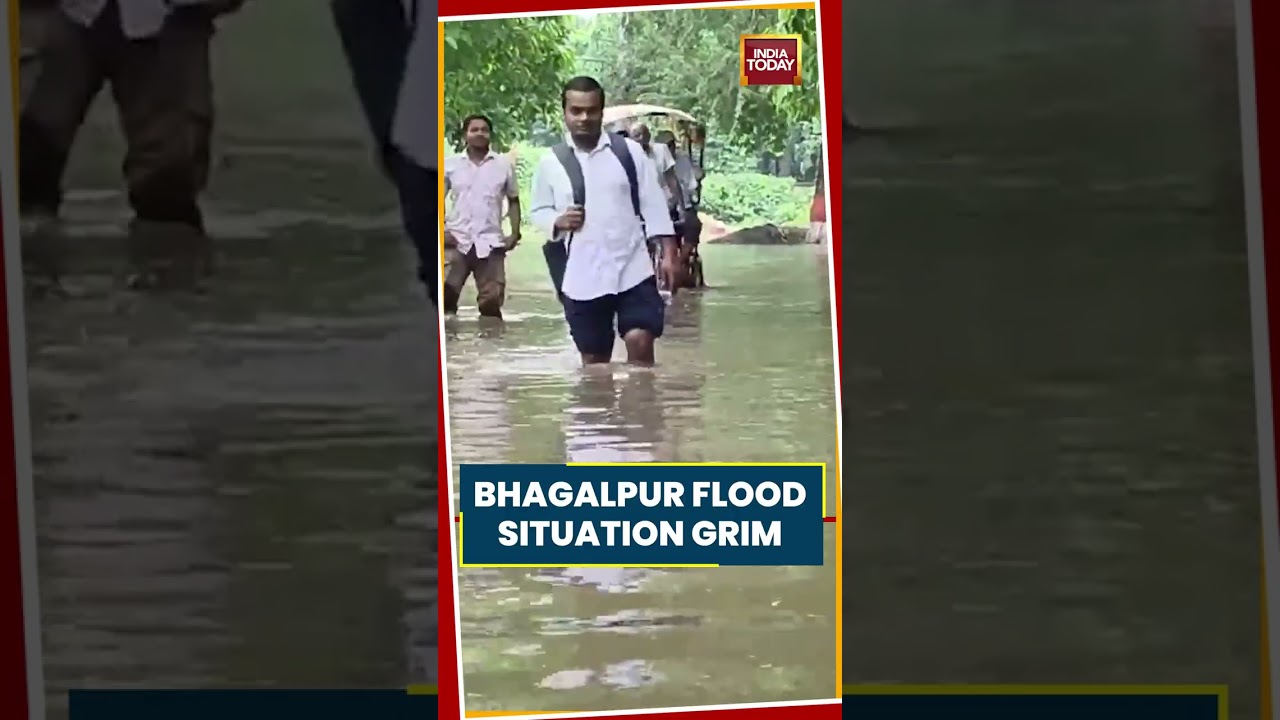 Bihar Floods: Bhagalpur Flood Situation Remains Grim, Several Areas Face Severe Waterlogging #Shorts