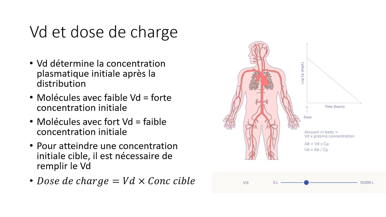 Principe de PK (pharmacocinétique) quantitative
