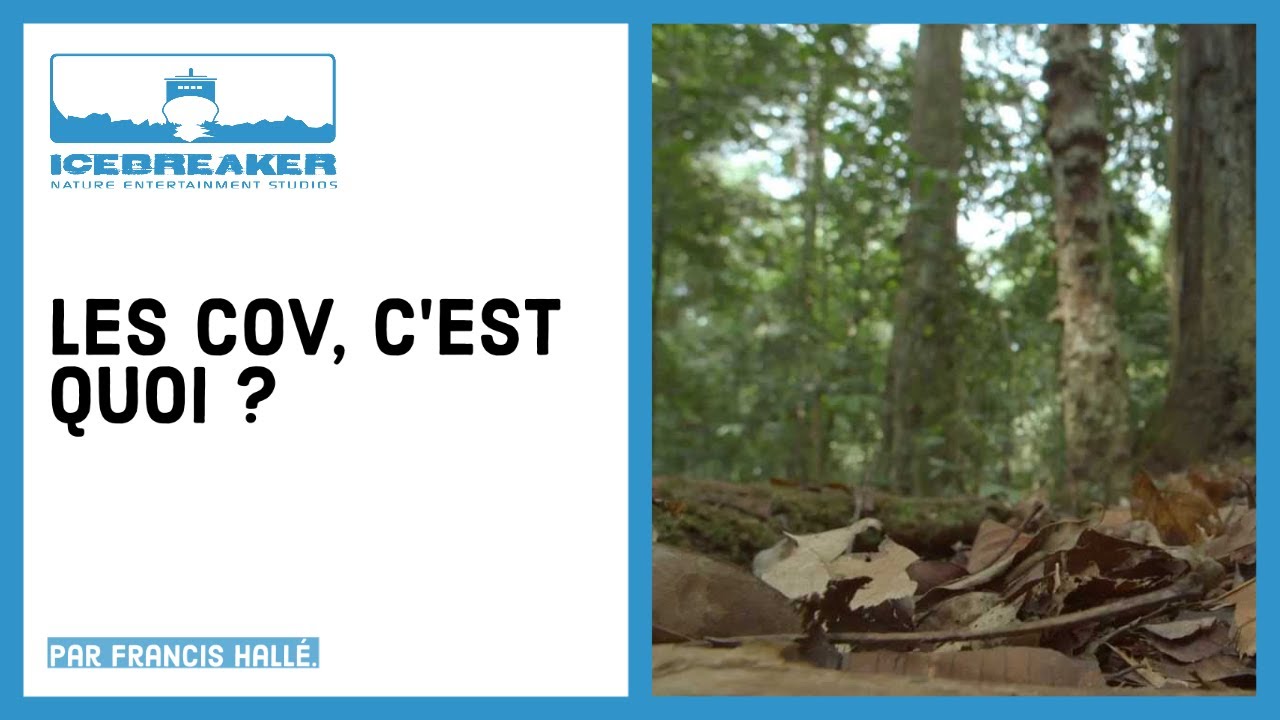 #08: Que sont les composés organiques volatils (COVs) ?