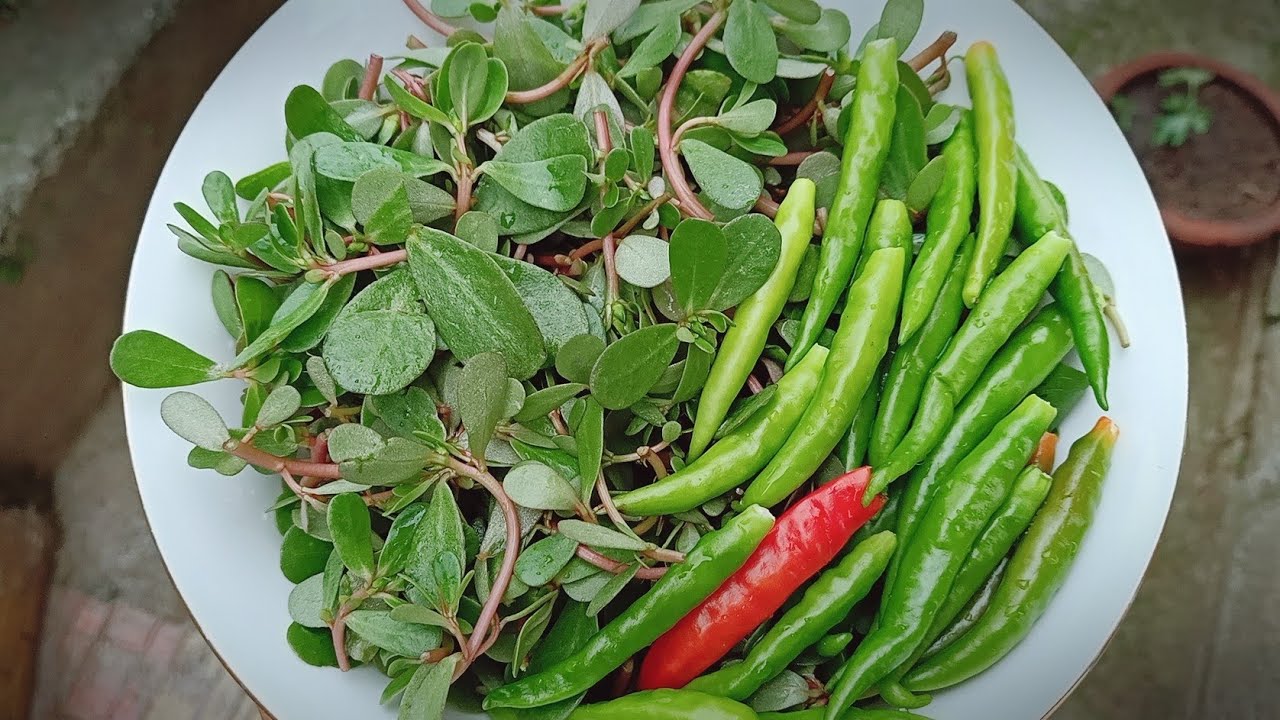 Nunar(Purslane)|Kashmiri style Nuner (kulfa)recipe|How to cook wild pursaline.