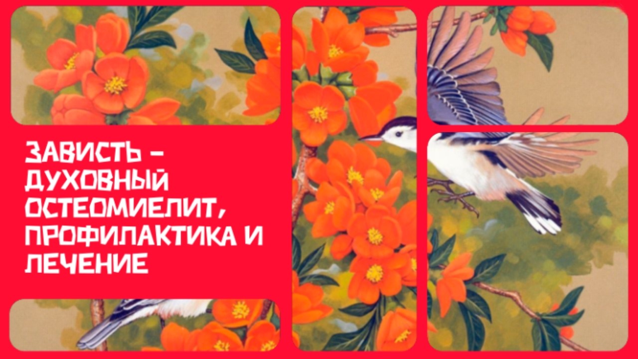 Зависть - духовный остеомиелит, профилактика и лечение.