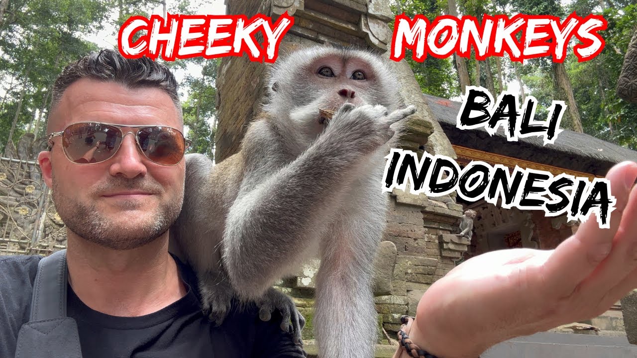 🇮🇩 Bali, Indonesia - Cheeky Monkeys, Fire Shows, Uluwatu Temple, Jimbaran Beach