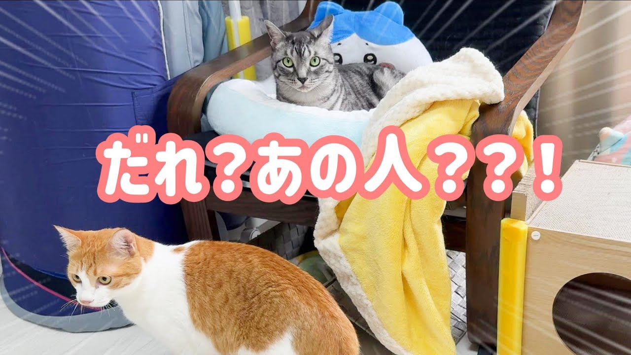 早朝にピンポンが鳴って驚いていたら知らない人が入ってきて・・・
