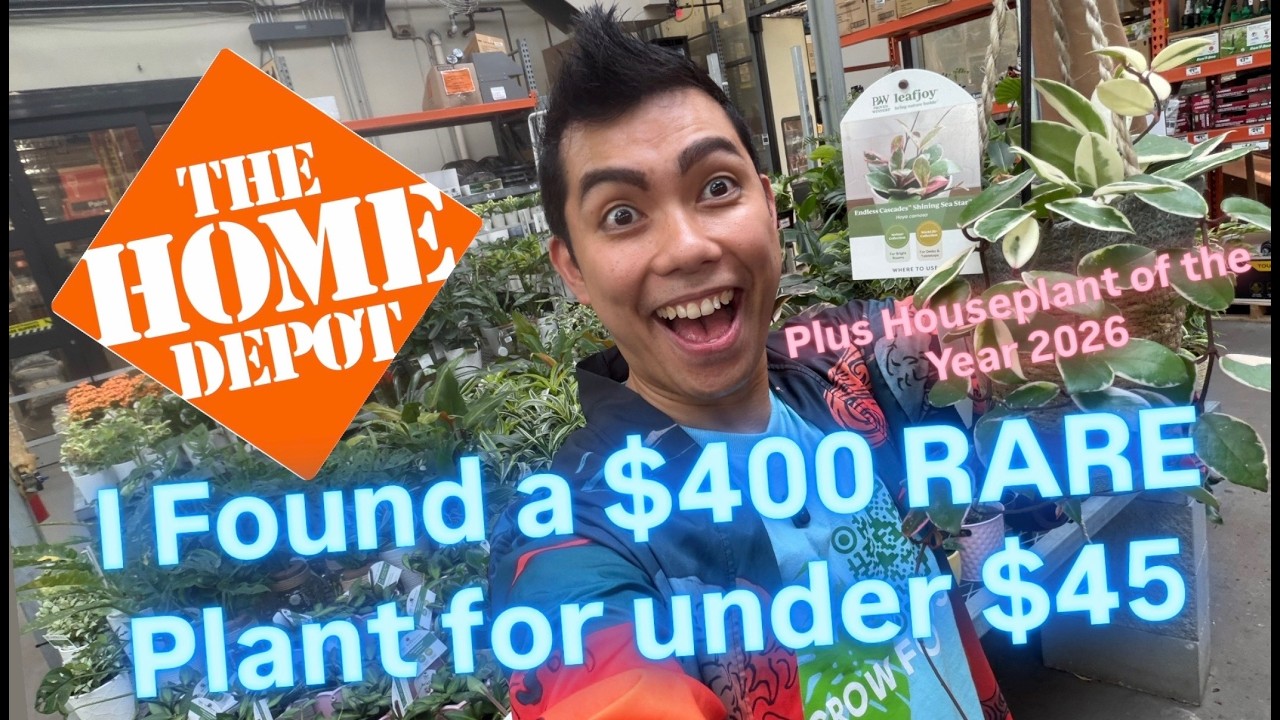 Я нашел РЕДКОЕ растение за 45$ вместо 400$ в Home Depot! Поход за растениями в крупный гипермарке...