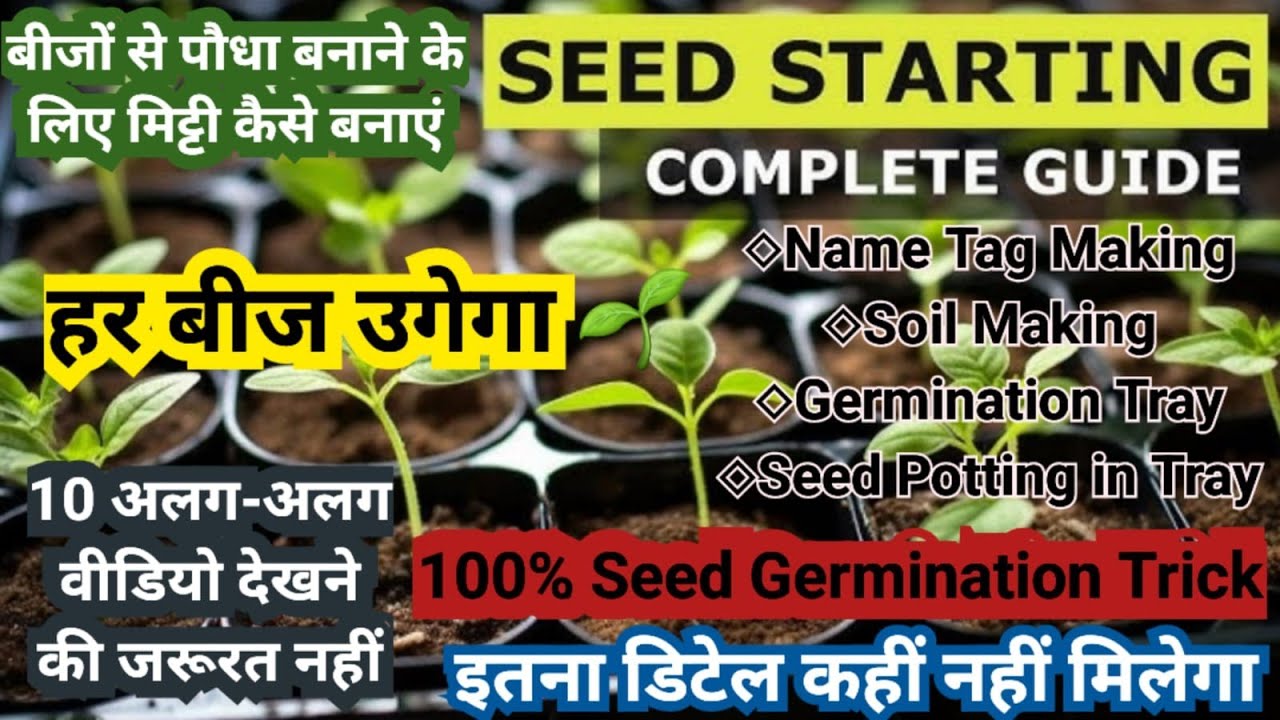 Seed Germination Trick #homegarden #gardeningtips #farming #gardening