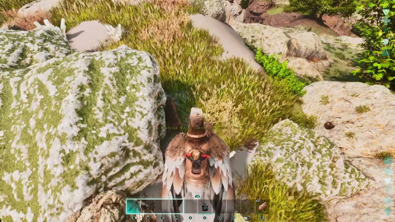 ARK ASA