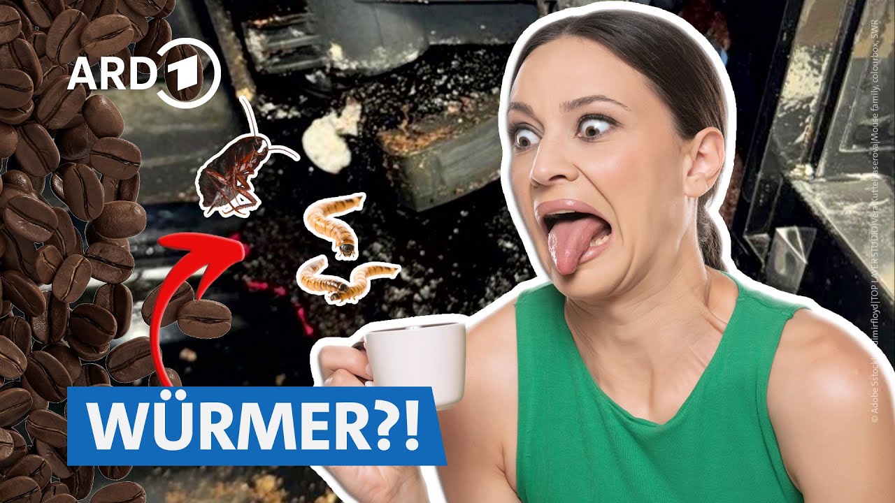 So eklig sind viele Kaffee-Vollautomaten: Schimmel, Tierchen, Bakterien! ☕🤢 | Marktcheck SWR