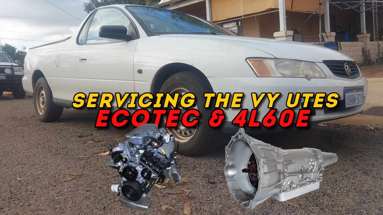 Servicing Our VY Commodore – Ecotec & 4L60E Done Our Way