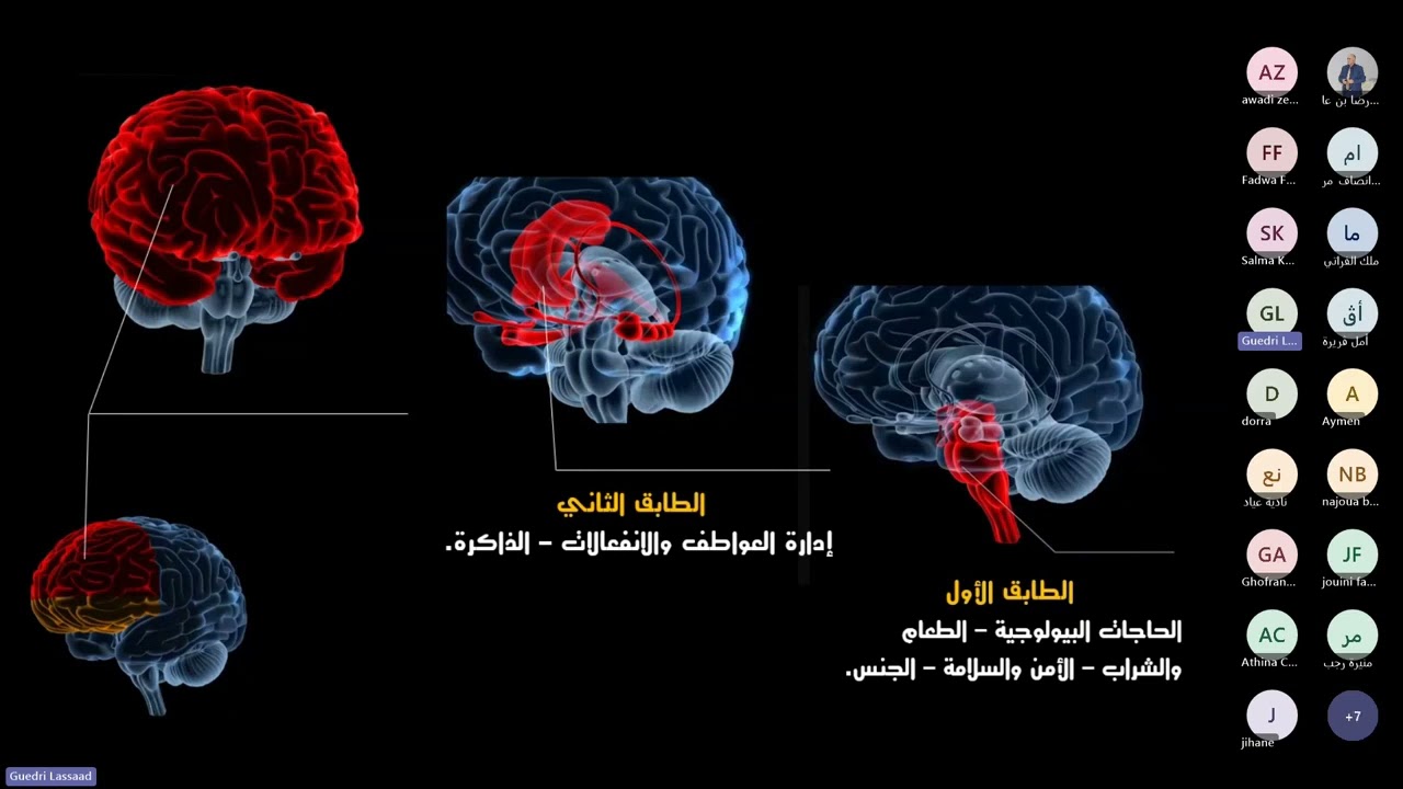 مدخل إلى علم الأعصاب التربوي