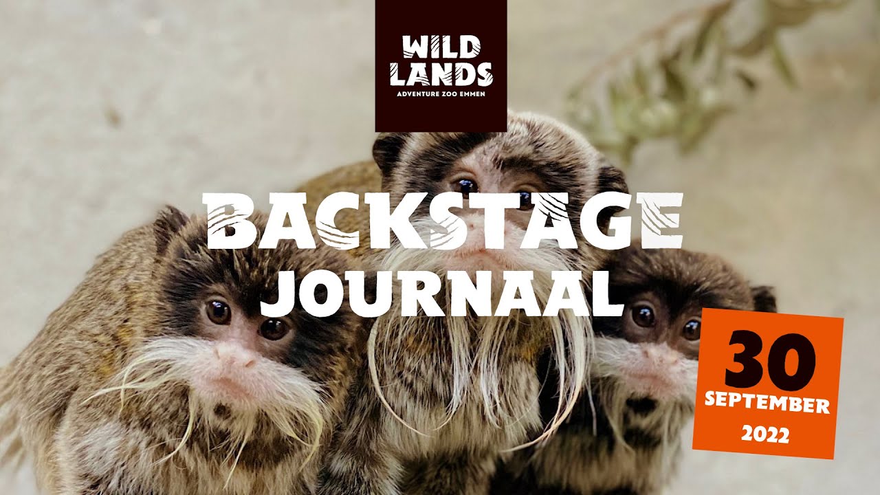 WILDLANDS Backstage Journaal 30 september 2022