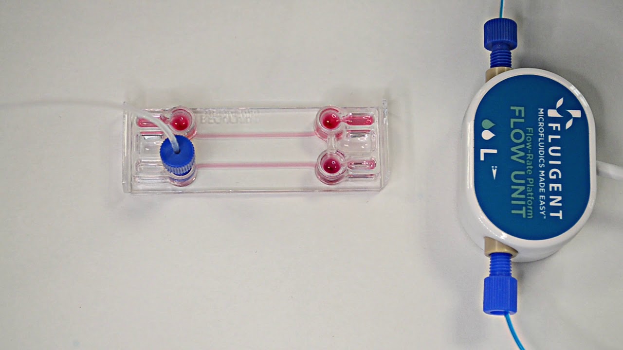 Be-Flow: Microfluidic set-up (Fluigent pump)
