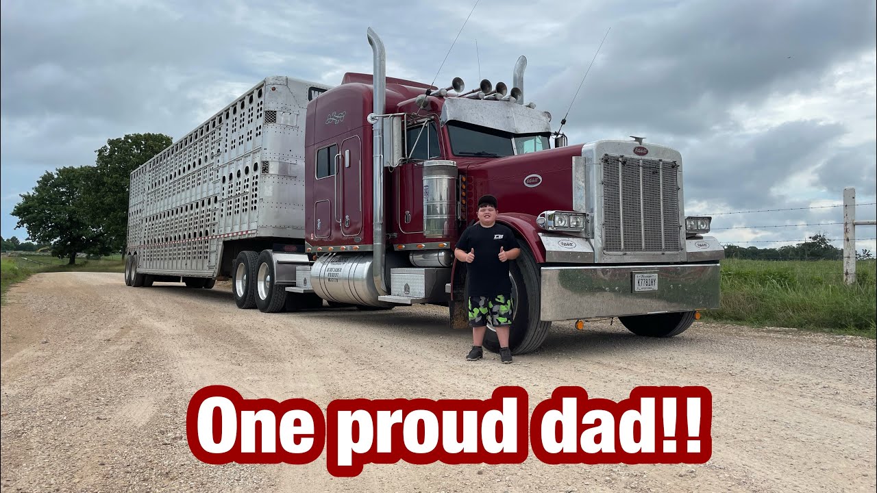 9 лет Перевозка скота на Peterbilt 379 мощностью более 700 л.с.!!