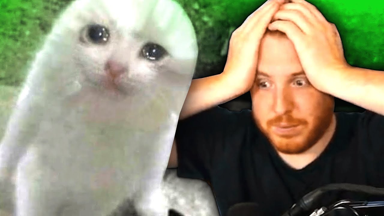 Unge REAGIERT auf DUMME Katzenbilder 😂😫 - Need To Know | ungeklickt