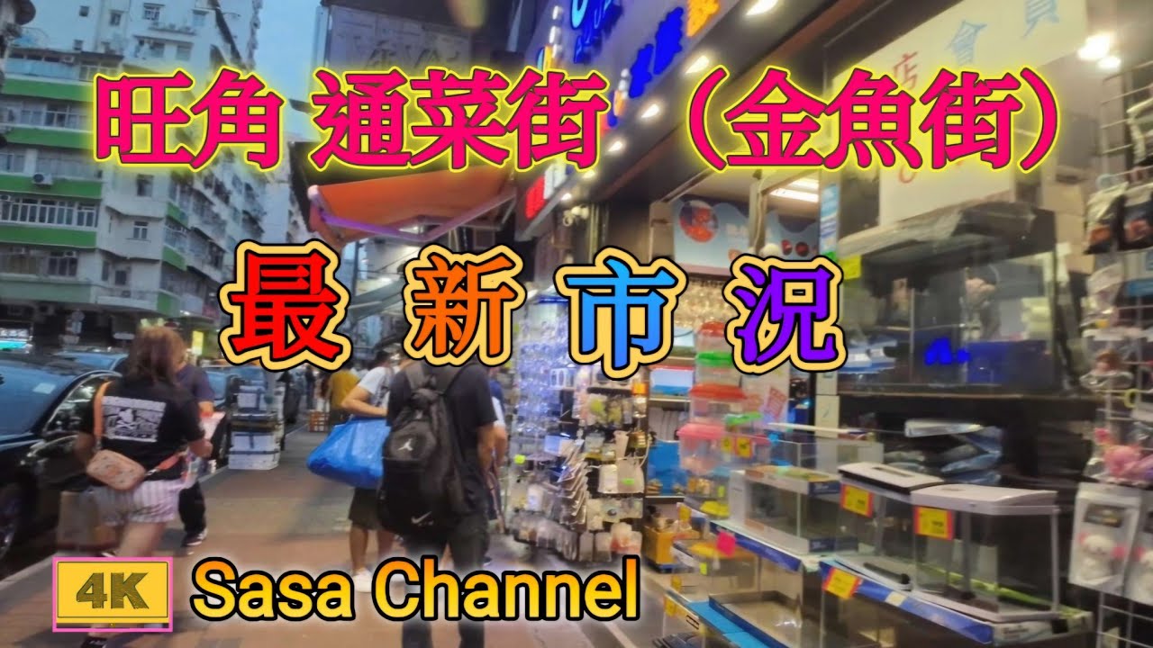 旺角 通菜街 （金魚街）最新市況如何？【4K】Tung Choi Street（Goldfish Street） Mong Kok  29 Oct 2024