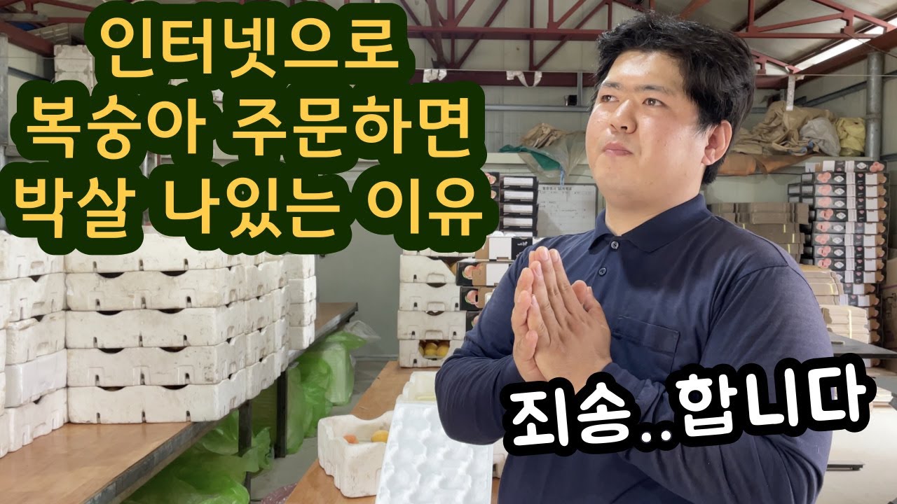 인터넷으로 복숭아 주문하면 박살 나있는 이유 - 복숭아 직거래 농장
