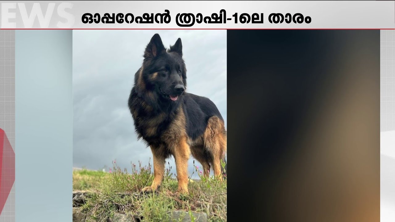 സൈന്യത്തിന്റെ വീരപുത്രൻ ടൈസൺ; ഭീകരവേട്ടയിൽ കരുത്തായി മാറിയ അത്ഭുത നായ | Operation trashi1 | Dog