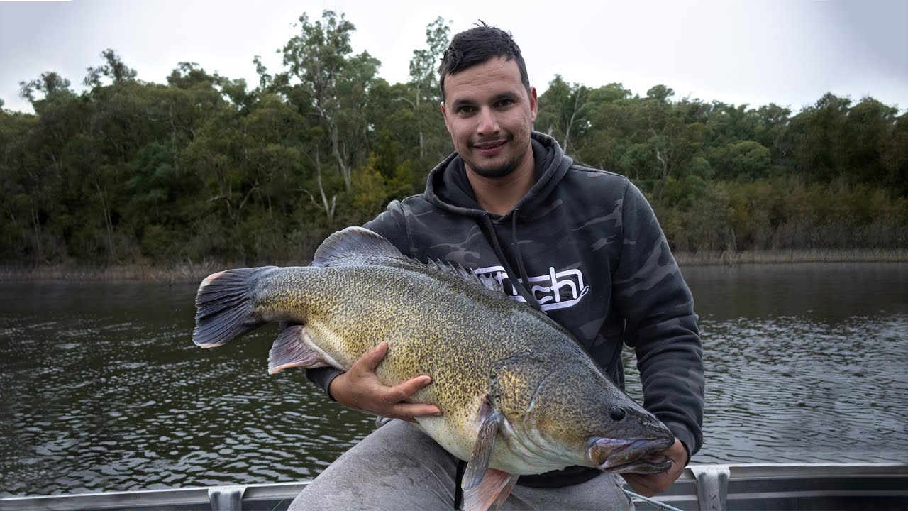 Murray Cod Fishing - 3 Days camping at Lake Eildon