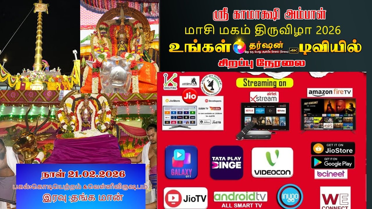 மாசி மகத் திருவிழா 2026 அருள்மிகு காஞ்சி காமாட்சி அம்மன் திருக்கோயில் தங்கமான் வாகனம்
