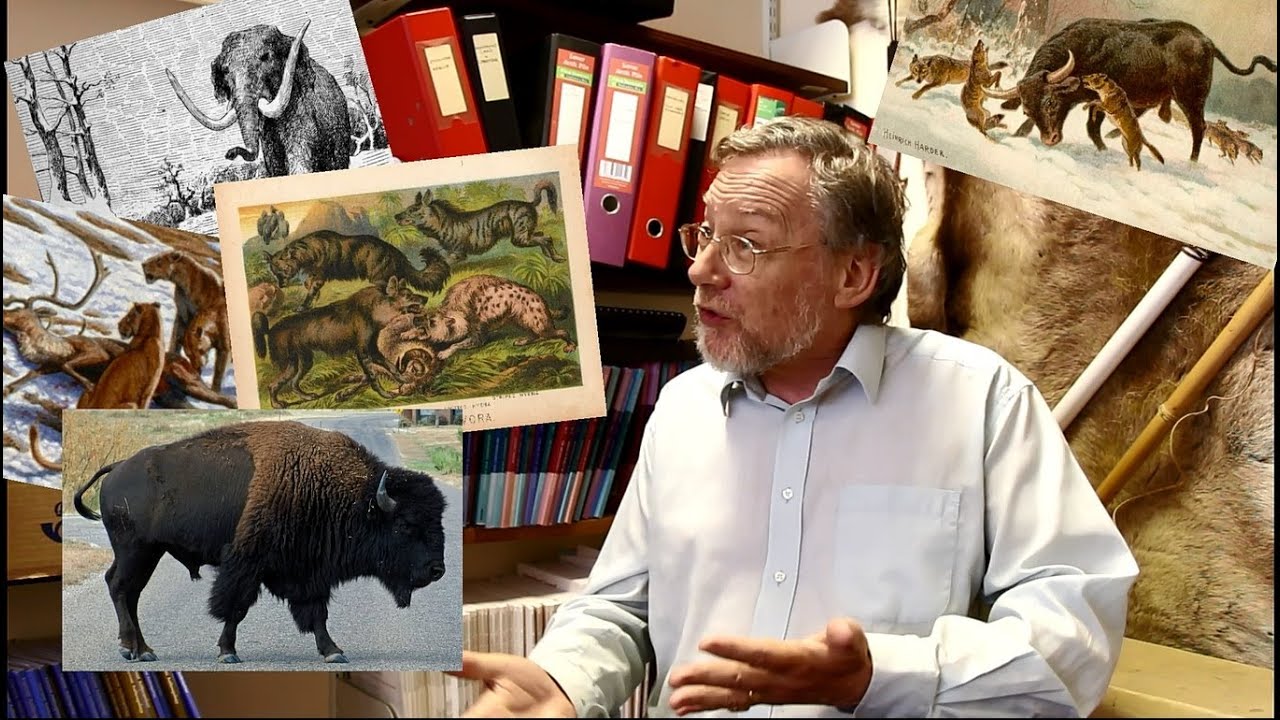 Meet The Archaeologist: Peter Rowley-Conwy