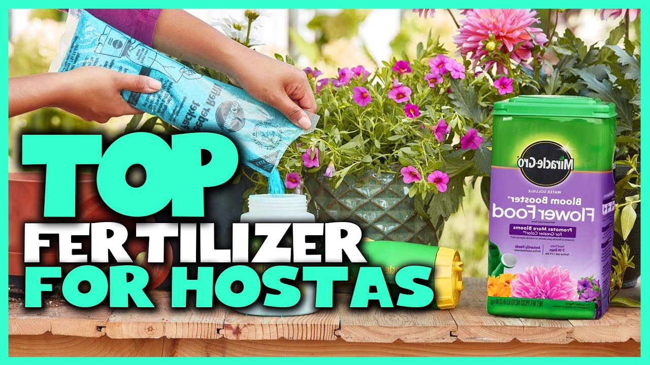 Топ-5 лучших удобрений для хост [Обзор] - Dr. Earth Total Fertilizer for Hostas [2023]