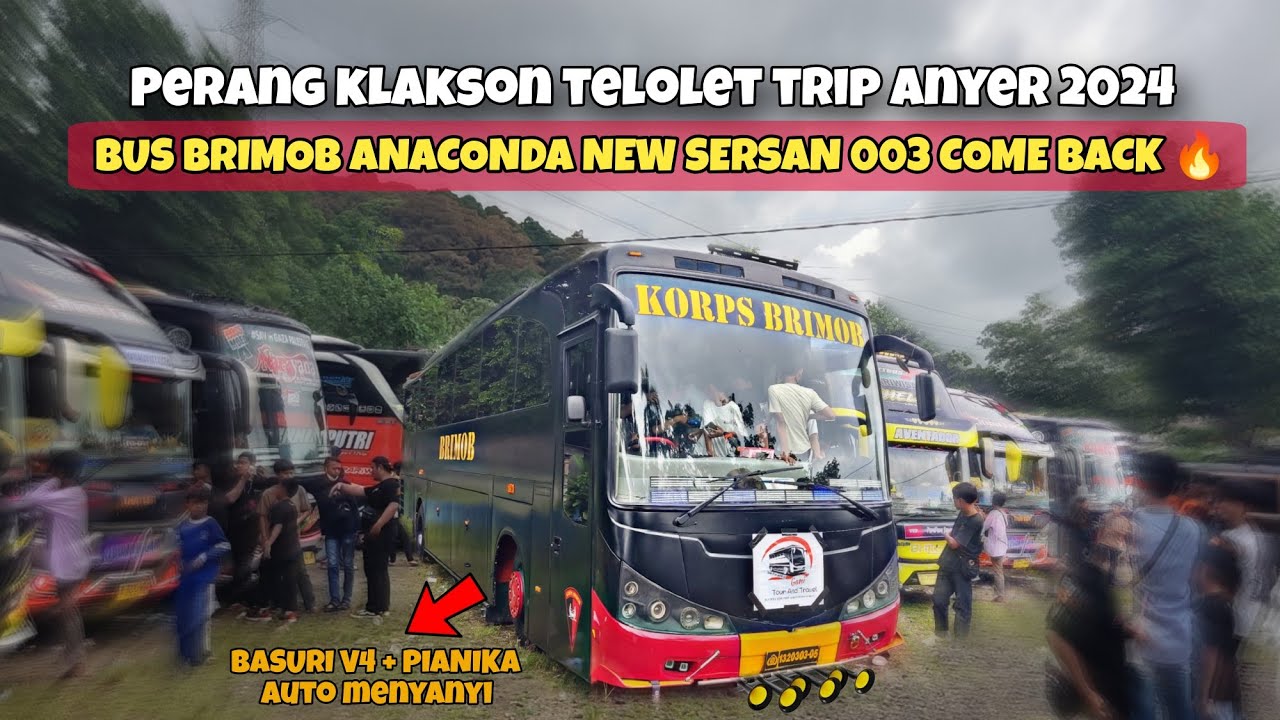 PERANG KLAKSON TELOLET BASURI TRIP ANYER 2024 ‼️BUS BRIMOB NEW SERSAN 003 