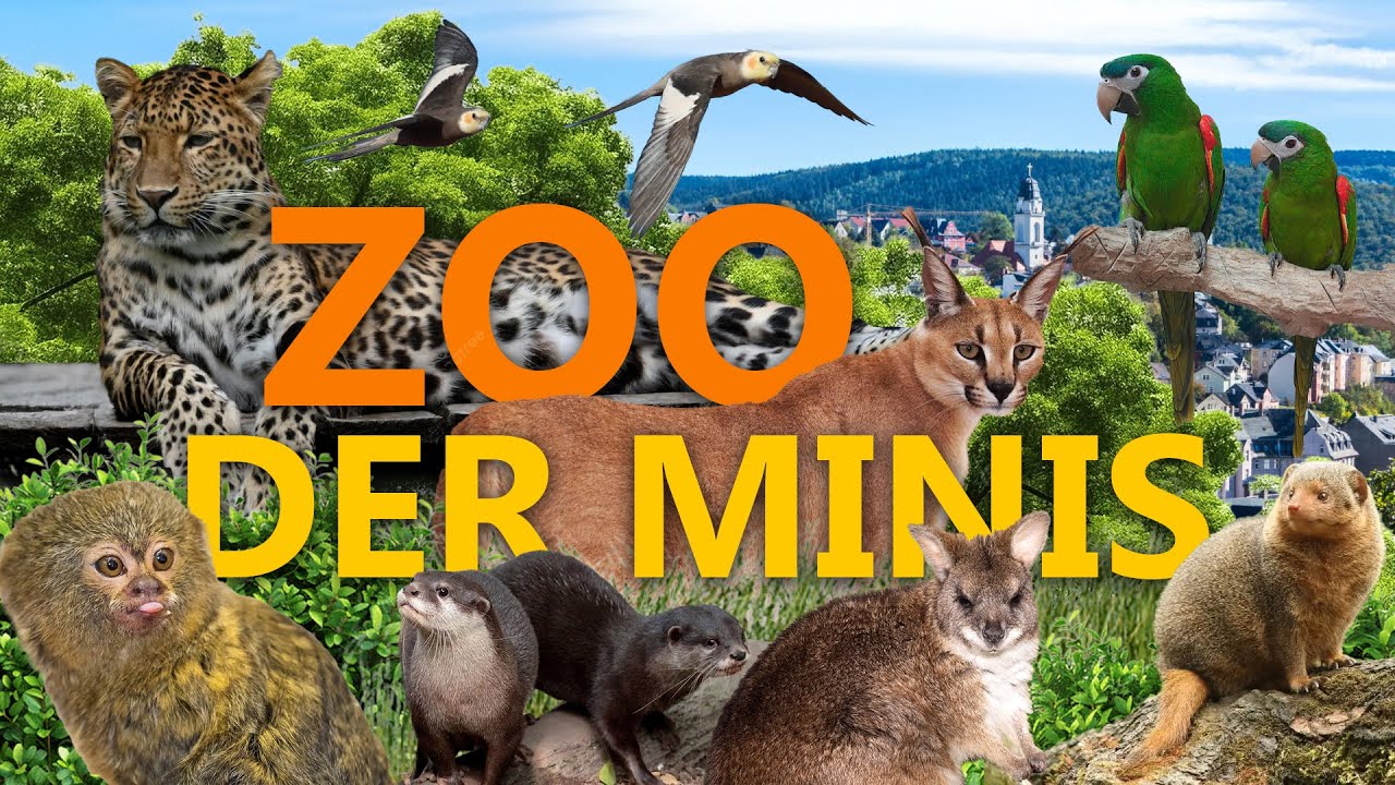 Zoo der Minis (Aue Bad-Schlema) - Klein aber Oho! | Zoo-Eindruck