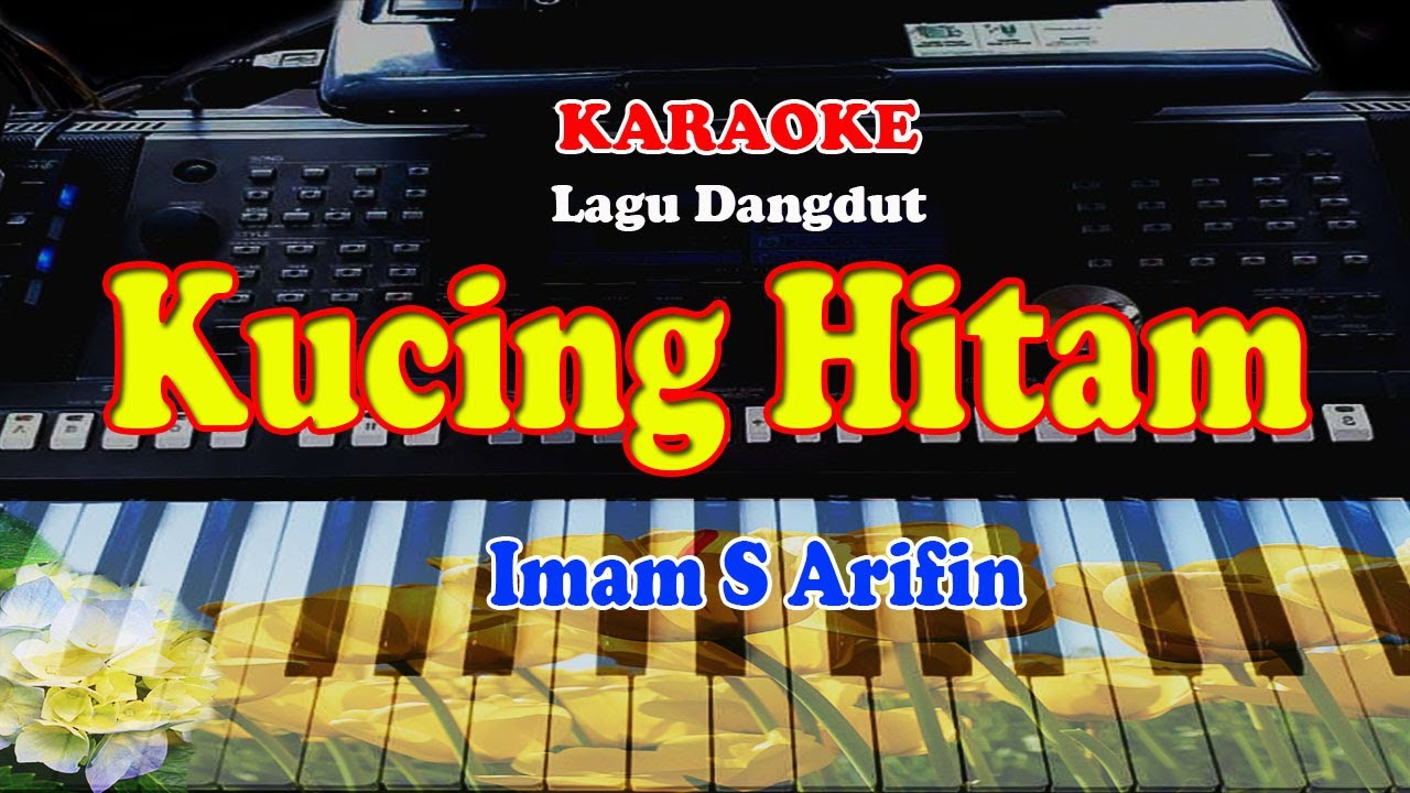 LAGU DANGDUT - KUCING HITAM - KARAOKE