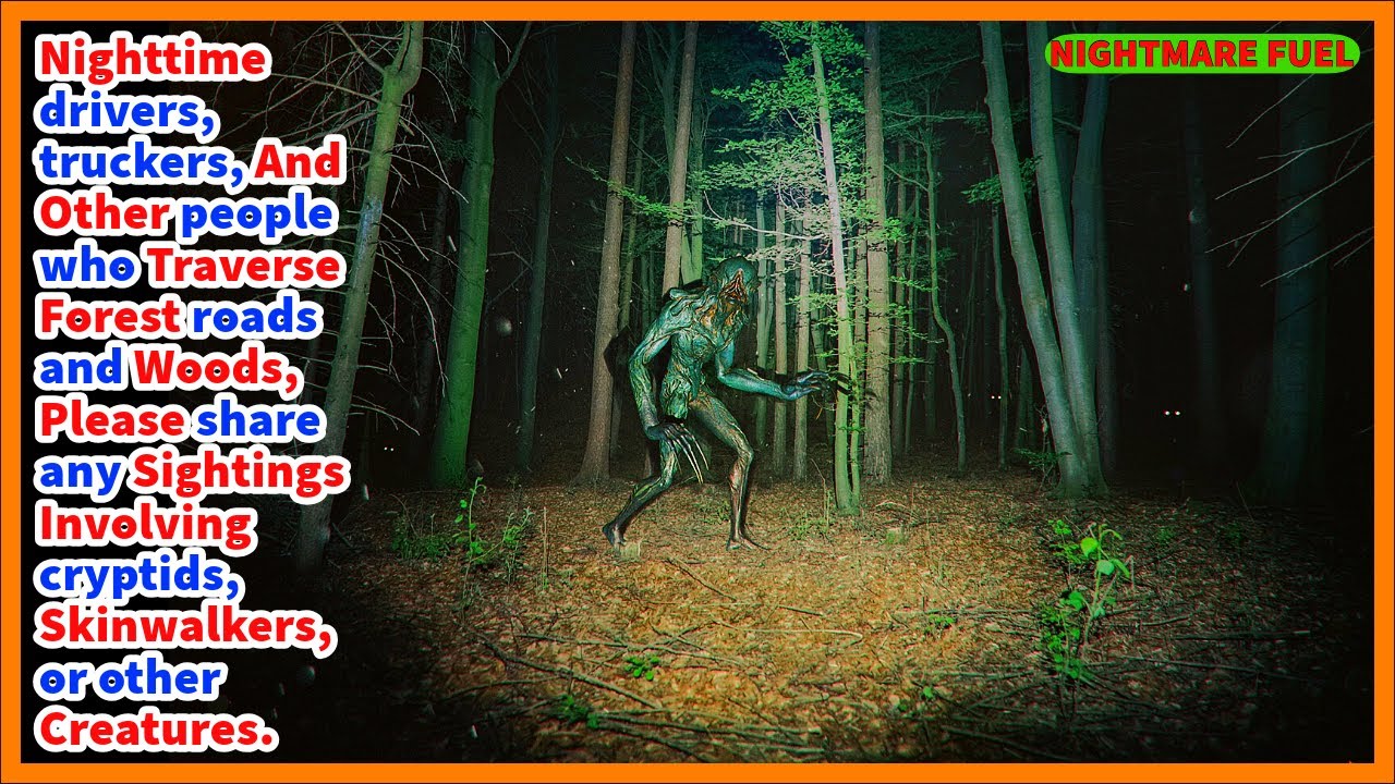 Drivers, truckers, share your sightings involving cryptids, skinwalkers, wendigos, the unknown, etc.