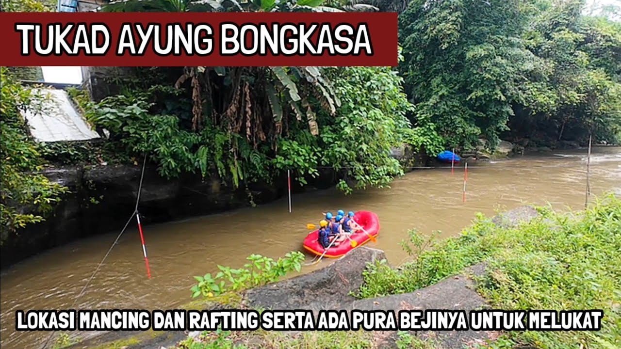 ADA LOKASI MANCING DI TUKAD AYUNG DESA WISATA BONGKASA BADUNG BALI(17/2/2026)
