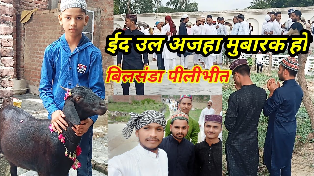 ईद उल अजहा मुबारक हो बिलसंडा पीलीभीत❤️ Eid ul adha Mubarak ho bilsanda Pilibhit #eid#eid#video#viral