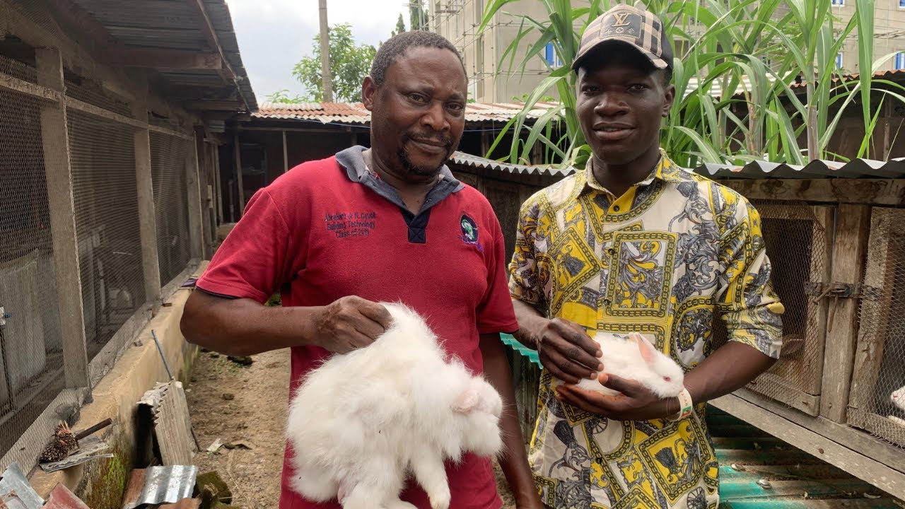 Meet the civil servant that owns a 100 capacity rabbit farm