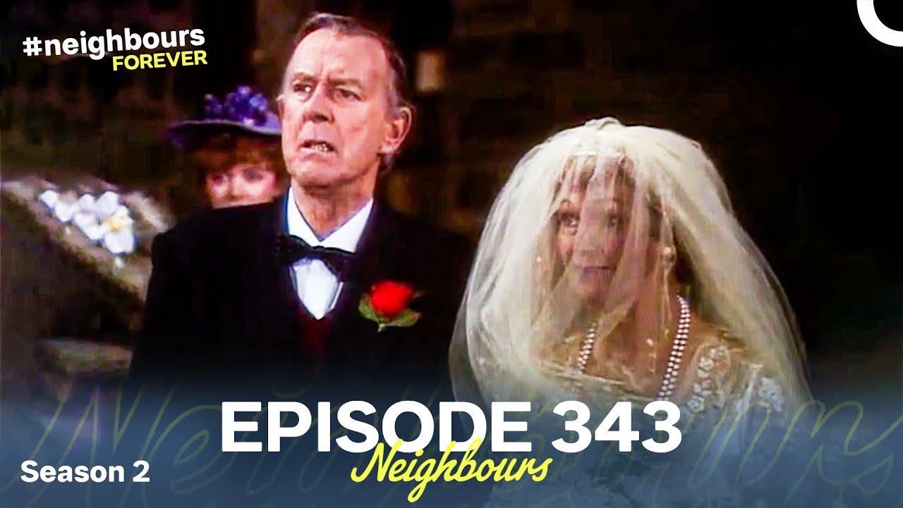 Neighbours Season 2 Episode 343 (1986)