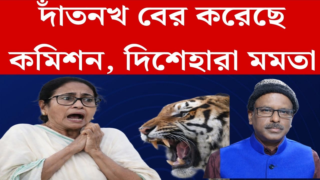 কমিশনের দাঁতনখ দেখে দিশেহারা মমতা | mamatabanerjee | sir | wbelection2026 