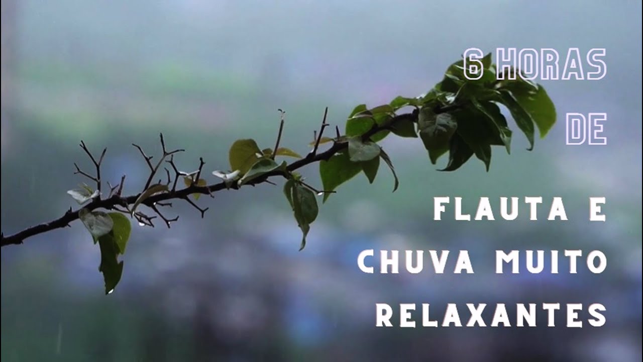 6 Horas de Flauta e Chuva muito relaxantes